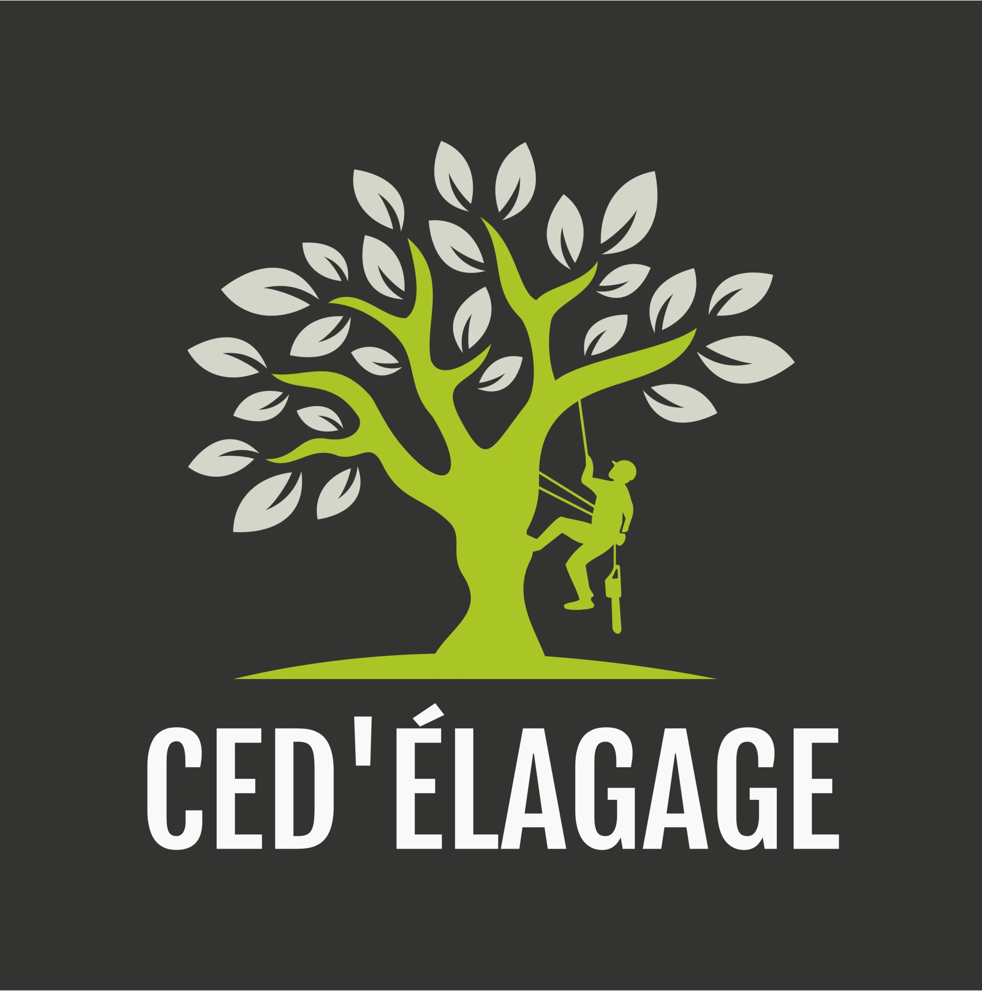 Logo CED'Élagage, arbre et élagueur grimpeur