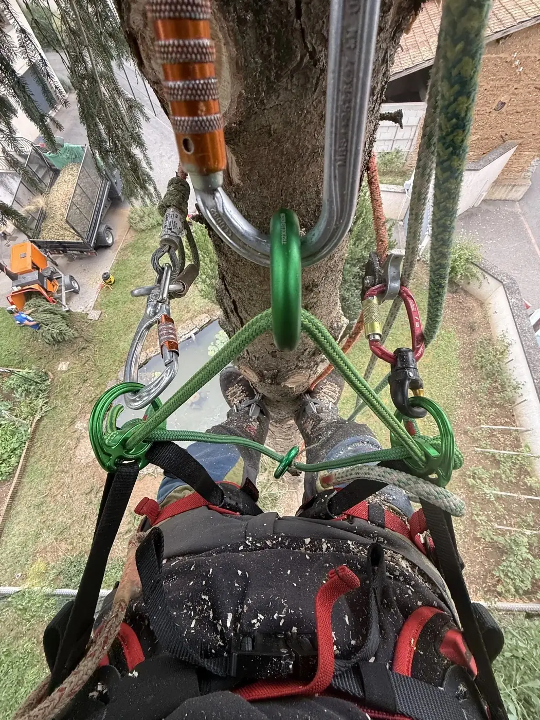Harnais et ancrages en travail sur corde, chantier CED'Élagage en Nord-Isère