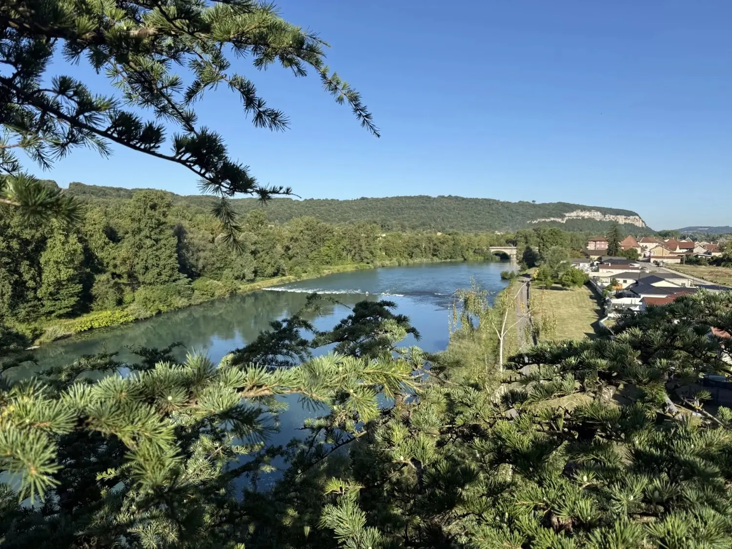 Vallée du Rhône, secteur d'intervention, chantier CED'Élagage en Nord-Isère